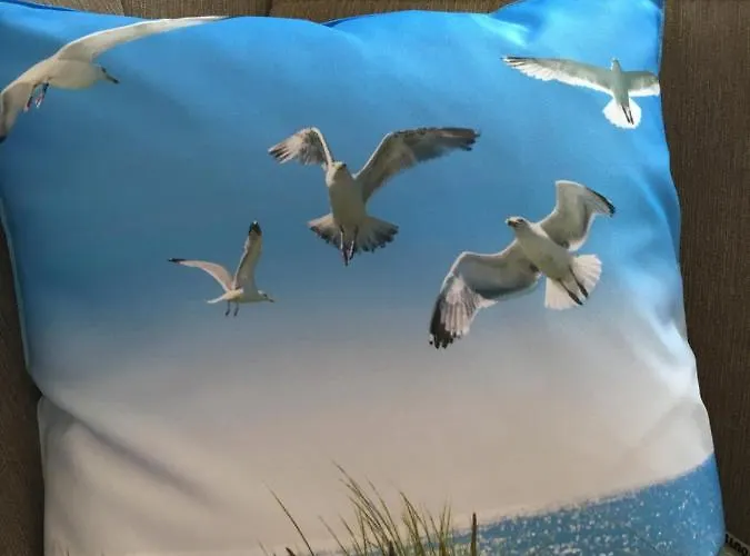 Διαμέρισμα Meerblick 11 - Seemoewe *