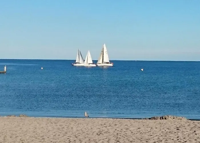 Meerblick 11 - Seemoewe *